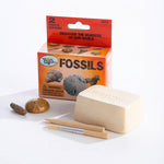 Kids Fossils Excavation Kit