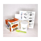 Mystery Bucket Gem Mining Kit of Fossils and Gemstones